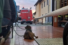 Wachhund