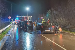 20240316-VU-B145-Wisen-1