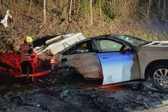 20240316-VU-B145-Wisen-13