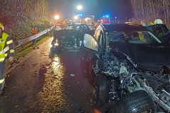 20240316-VU-B145-Wisen-14