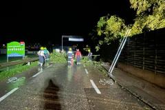 IMG-20230825-WA0003