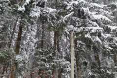 20231202-Wintereinbruch-23