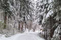 20231202-Wintereinbruch-24
